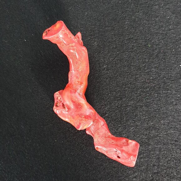 Rare Antique 575 Carat (115 gram) Natural Mediterranean Red Coral Branch - Picture 1 of 11